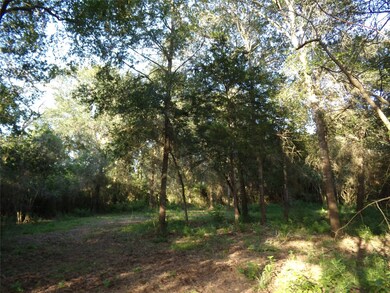 31068 Hegar Rd, Hockley, TX 77447 - photo 4