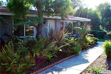 Great afternoon light with a beautiful tropical la