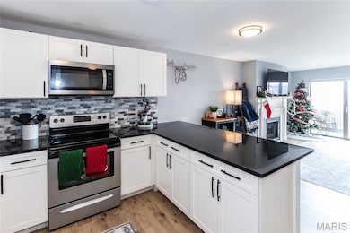 Courtland Hall unit 317, Saint Louis, MO 63141 - photo 4