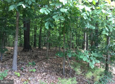 0 Blue Bell Ln unit VASH121500, Strasburg, VA 22657 - photo 2