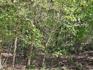 000 Hh Block 4 Lot 3 Ln, Theodosia, MO 65761 - photo 4