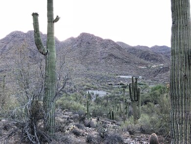 Overlooks Large Secluded Wash