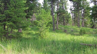 148 Walking Coyote Dr, Kalispell, MT 59901 - photo 6