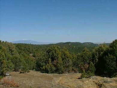 greenhorn