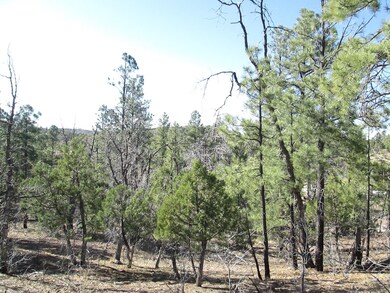 6210 Wildcat Trail, Show Low, AZ 85901 - photo 6