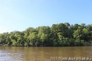 View to the left side of the lakefront