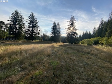 23801 NE Muncton Dr, Yacolt, WA 98675 - photo 6