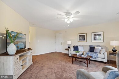 6500 Ridenour Way E unit 3A, Sykesville, MD 21784 - photo 5