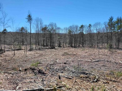 6 Eagle Pond Rd, Andover, NH 03216 - photo 7