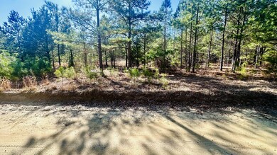 Barnwell LAnd Listing photosIMG_7527