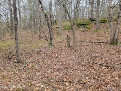 0 Post Hill Rd unit 202415587, Taghkanic, NY 12521 - photo 5