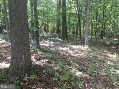 11908 Ridgemont Rd, Lutherville Timonium, MD 21093 - photo 2