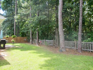 woods behind home