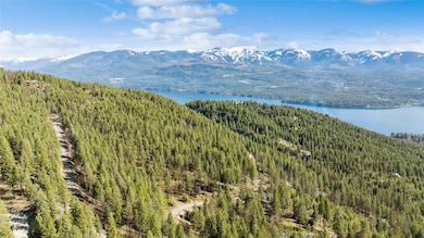 NHN Tract 2 Wolf Tail Pines Rd, Whitefish, MT 59937 - photo 6