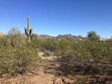 Natural Landscape