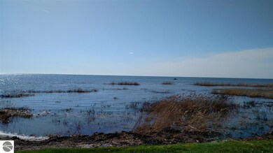 3142 Point Augres Road Pt Augres Dr, Au Gres, MI 48703 - photo 2