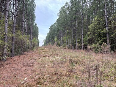 Lot 1 Oconee Creek Rd, Walhalla, SC 29691 - photo 7