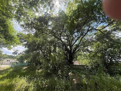 825 NE 149th St, North Miami, FL 33161 - photo 4