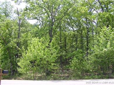 26 Silver Spur Ct, Camdenton, MO 65020 - photo 5