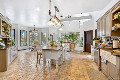 549 Mohawk Heights, Florissant, CO 80816 - photo 5