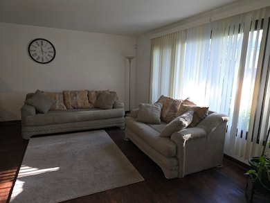 20535 Marathon Ct, Olympia Fields, IL 60461 - photo 4