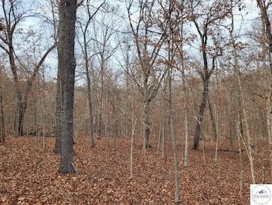 0 Dunn Dr unit Lot 1331, Edwards, MO 65326 - photo 4