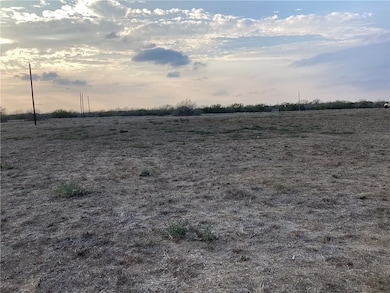 4153 Fm 625, Alice, TX 78332 - photo 3
