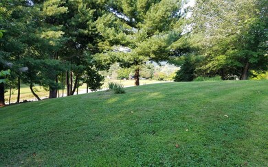 Additional View