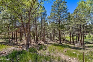 2410 N Broken Circle Rd-11