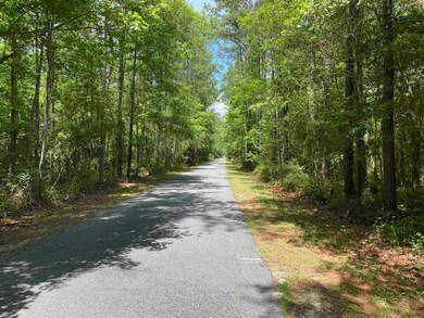 34 White Tail Dr, Crawfordville, FL 32327 - photo 5