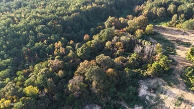 DJI_20241023172042_0065_D