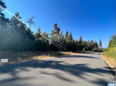 NKA Phillips Pkwy, Port Angeles, WA 98362 - photo 2