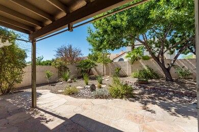 Professionally Landscaped Backyard