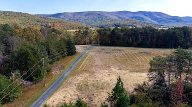 1 & 2 Young Rd, Rileyville, VA 22650 - photo 2