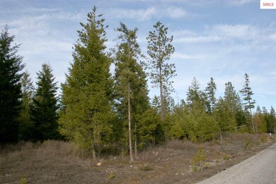 NNK B5 Northern Sky Rd, Athol, ID 83801 - photo 2