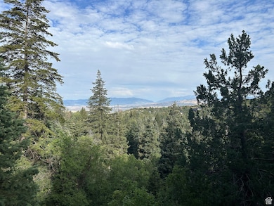 49 N Pine Creek Rd E, Mount Pleasant, UT 84647 - photo 5