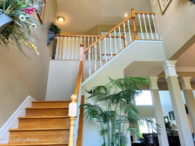 2 Story Foyer