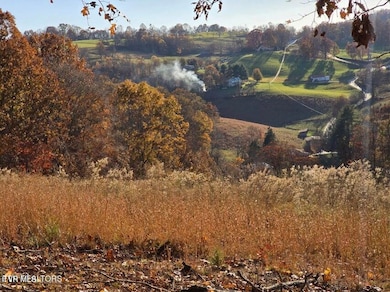 Tbd Trents Chapel Rd, Sneedville, TN 37869 - photo 3