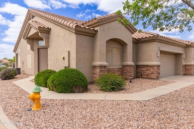 02 - Desert Willow