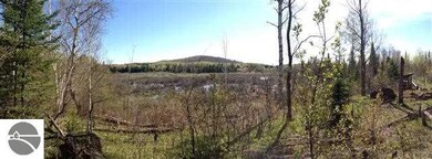 Huffman Lake Rd, Vanderbilt, MI 49795 - photo 2