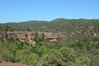 Forest Service Rd. 272