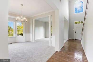 42242 Paradise Place, Chantilly, VA 20152 - photo 6