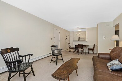 73 Walnut St unit 8, Newtonville, MA 02460 - photo 5