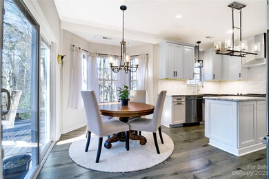 12305 Sparkling Way, Huntersville, NC 28078 - photo 5