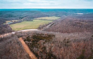 0 County Road 7340 unit 22022246, Newburg, MO 65550 - photo 6