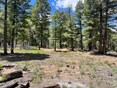 1002 Indian Creek Rd unit R0011770, Florissant, CO 80816 - photo 2