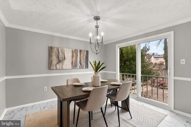 13204 Schubert Place, Silver Spring, MD 20904 - photo 5