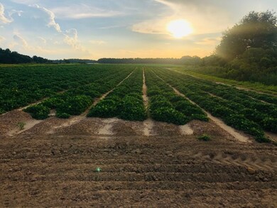 0 Jerry Young Rd unit 134444, Sumner, GA 31714 - photo 5