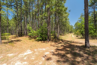 703 AC +/- Purvis To Baxterville Rd, Purvis, MS 39475 - photo 3