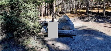 747 Spring Hill Rd, Kila, MT 59920 - photo 2